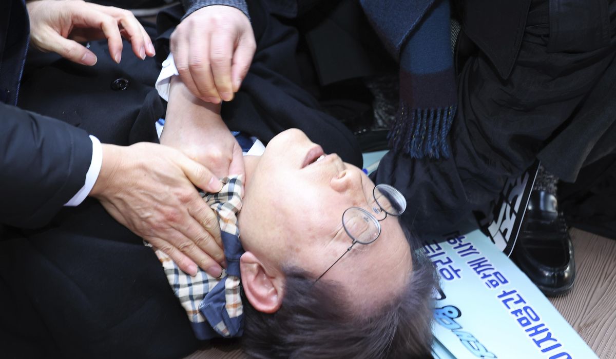 South Korean opposition leader stabbed in the neck by knife-wielding attacker